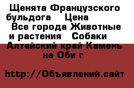 Щенята Французского бульдога. › Цена ­ 45 000 - Все города Животные и растения » Собаки   . Алтайский край,Камень-на-Оби г.